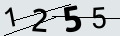 verifycode